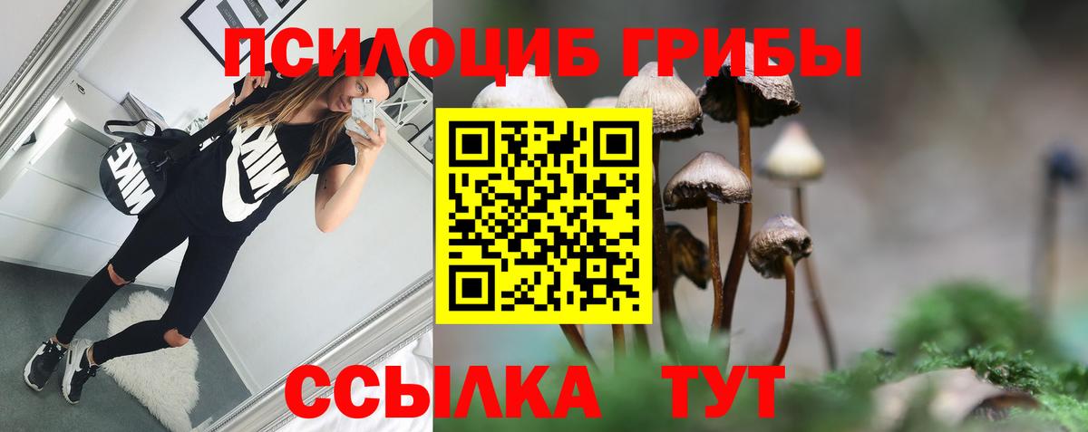 Галлюциногенные грибы Magic Shrooms  Псилоцибиновые грибы прущие грибы  где продают наркотики  Городец  Вход с VPN 